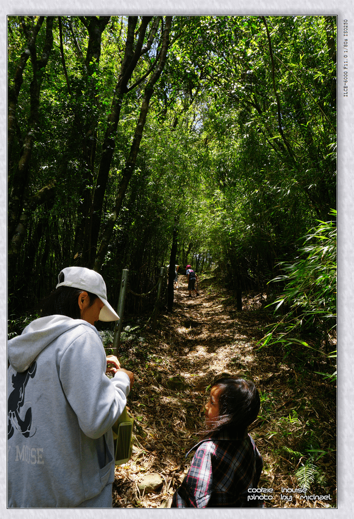 DSC01202.png