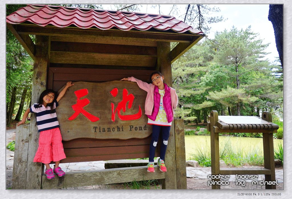 DSC01226.png