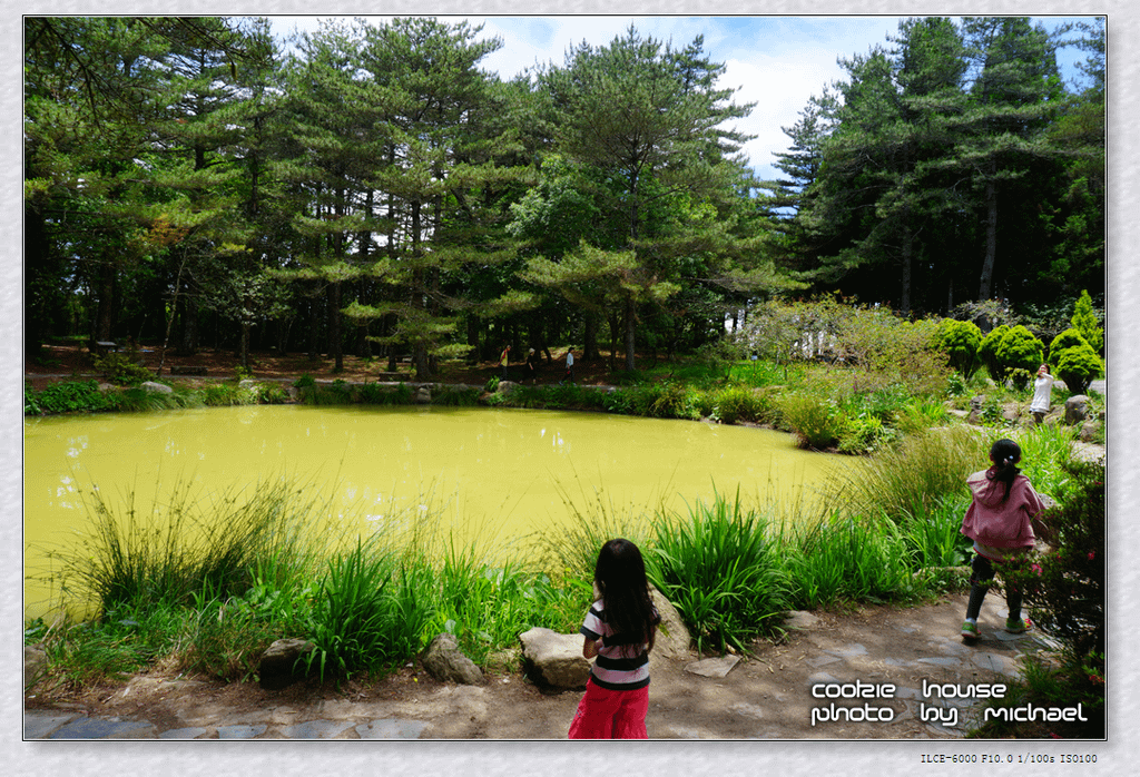 DSC01228.png