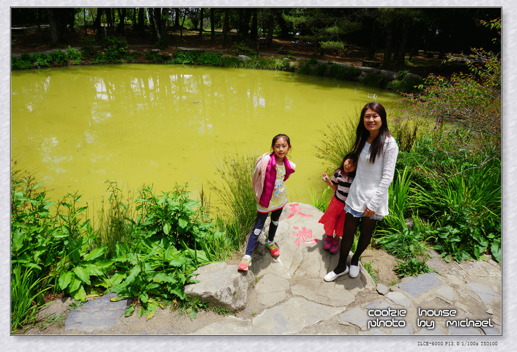 DSC01229.png