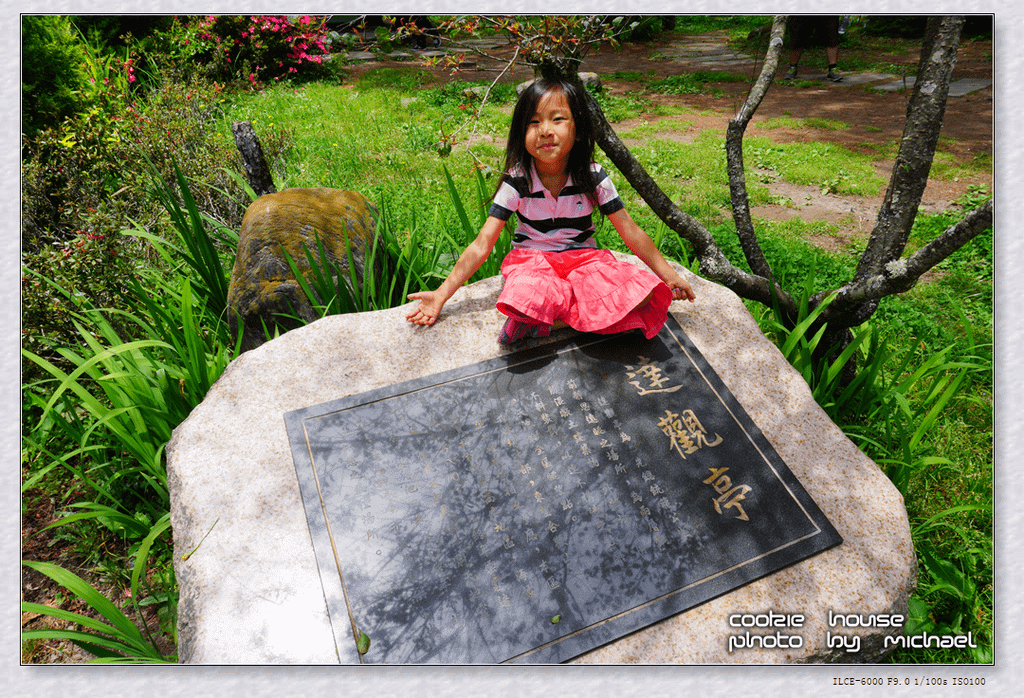 DSC01235.png
