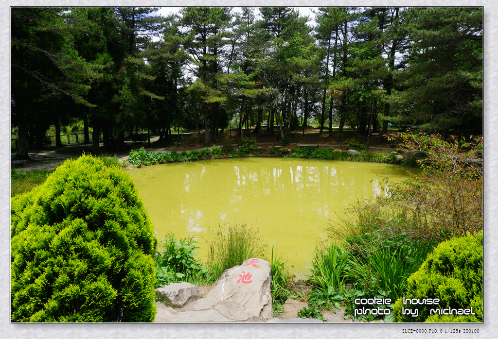 DSC01246.png