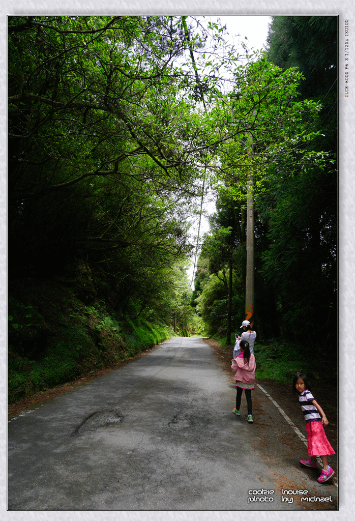 DSC01248.png