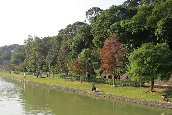 碧湖公園103.01.05 (11)