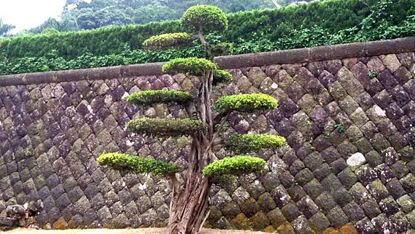 行修宮103.06.21 (12).jpg
