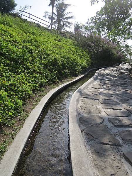 水往上流103.10.06 (12).JPG