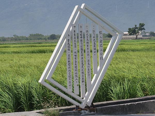 金城武樹103.10.06 (1).JPG