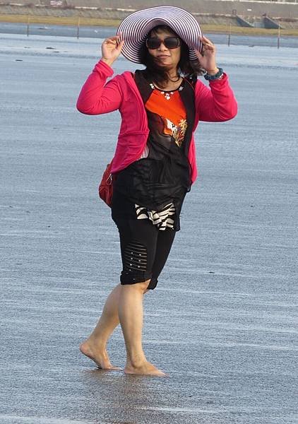 高美溼地103.10.24 (44).JPG