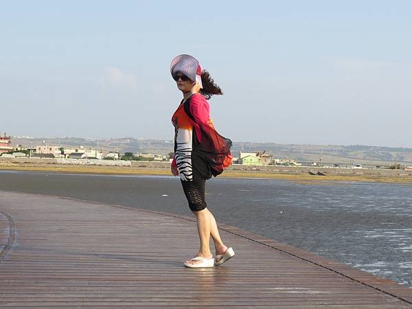 高美溼地103.10.24 (49).JPG