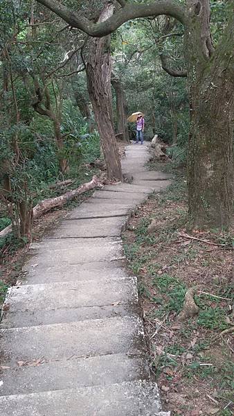 山中湖103.11.08 (23).jpg