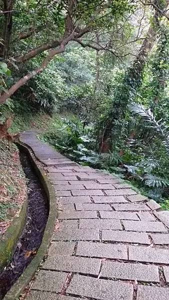青山步道103.12.21 (2).jpg