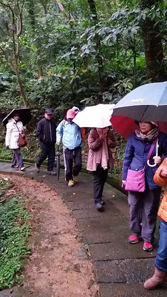 青山步道103.12.21 (3).jpg