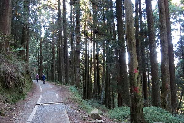 特富野104.01.04 (10).JPG