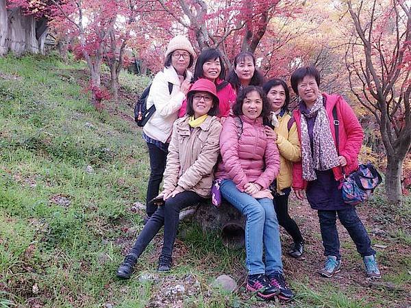 梨山104.03.28 (7).jpg