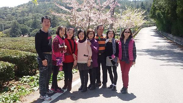梨山104.03.28 (19).jpg