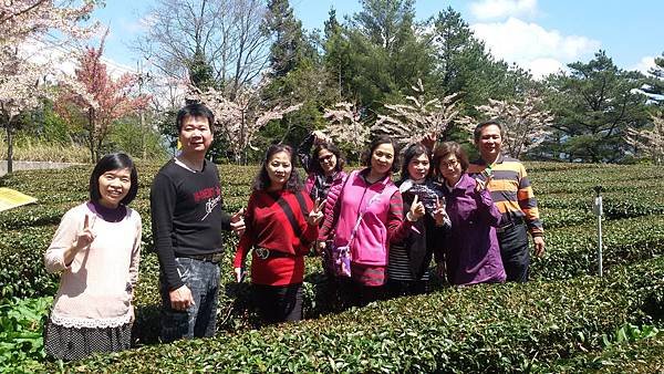 梨山104.03.28 (21).jpg