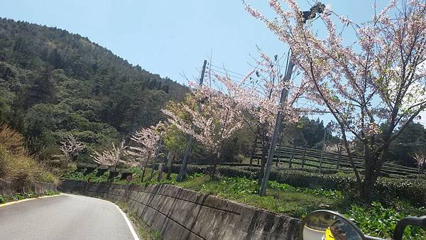 梨山104.03.28 (22).jpg