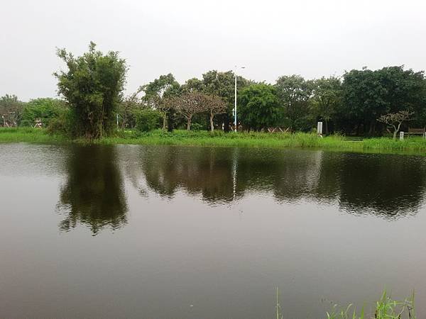 八里文化公園105.04.16 (12).jpg