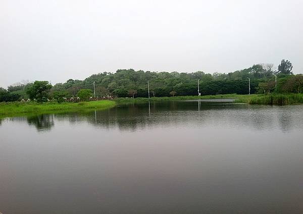 八里文化公園105.04.16 (13).jpg