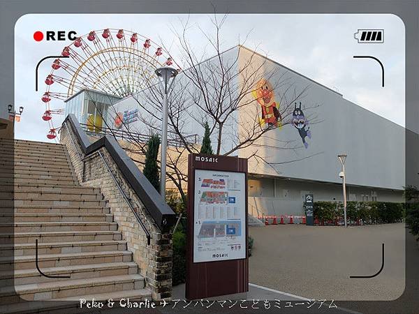 DSCF6781