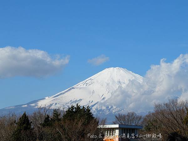 DSCF8471
