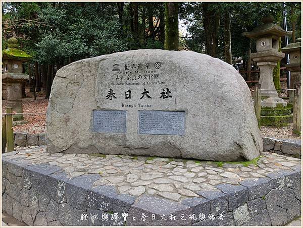 DSCF6493.jpg