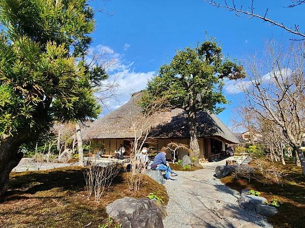 〔Day7〕京都~搭嵐山小火車遊嵐山