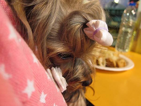 IMG_1377(001)