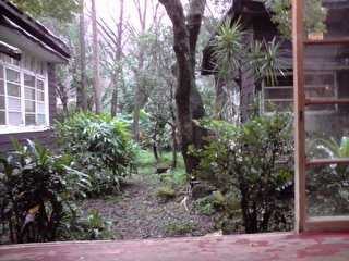 P011109_15.59.JPG