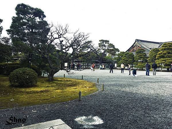 IMG_5489.jpg