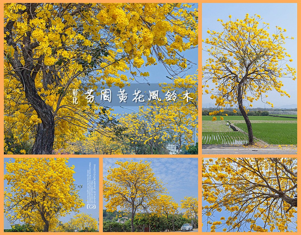 00.Cover.jpg