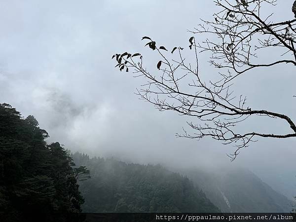 杉林溪一日遊