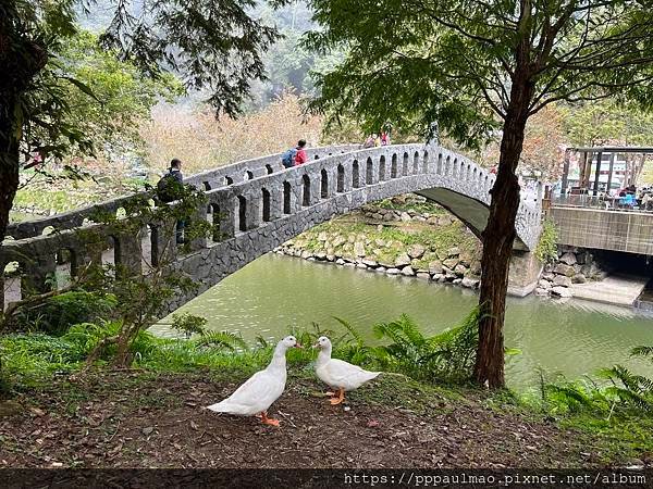 杉林溪一日遊