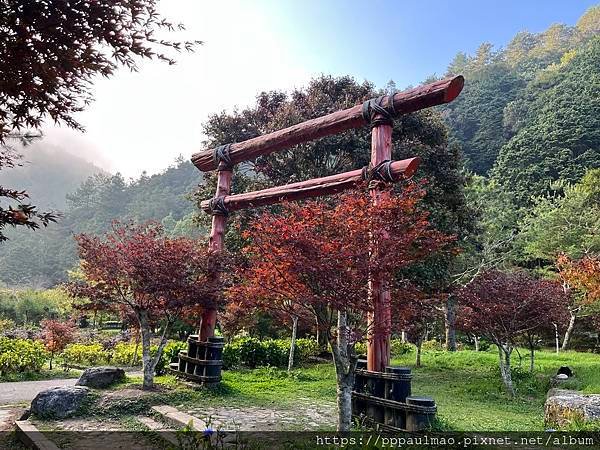 杉林溪一日遊