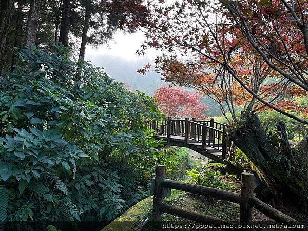 杉林溪一日遊