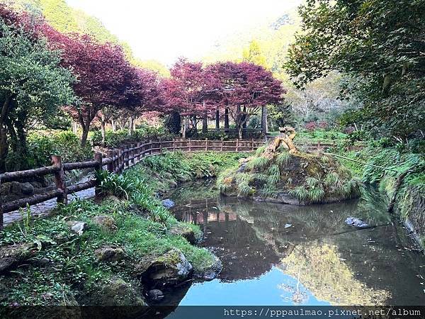 杉林溪一日遊