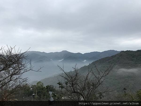 踏「雪」尋梅記