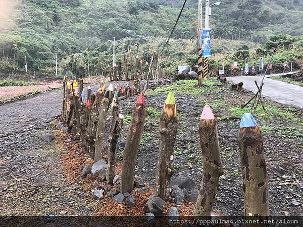 踏「雪」尋梅記