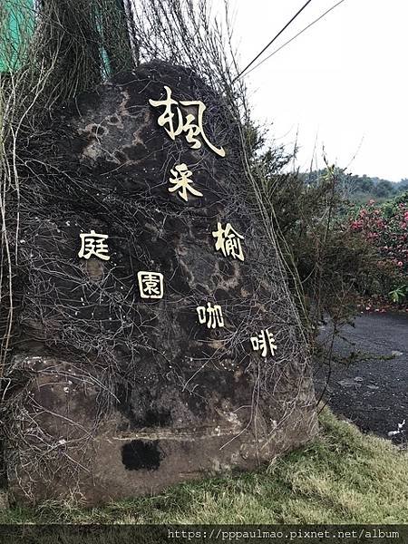 踏「雪」尋梅記