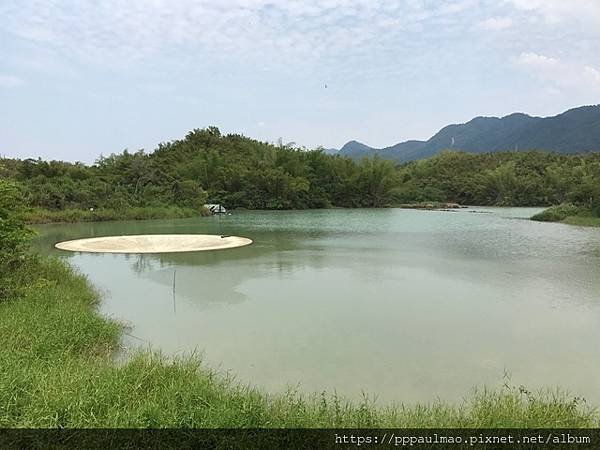 隨波逐流・順勢而為