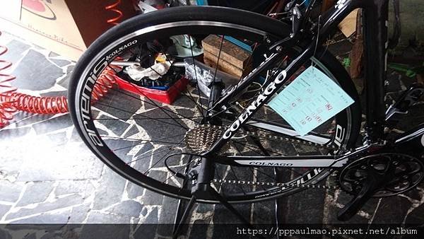 Colnago開箱文