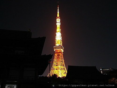 東京鐵塔夜景.jpg