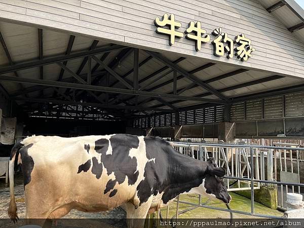 千巧谷牛樂園牧場