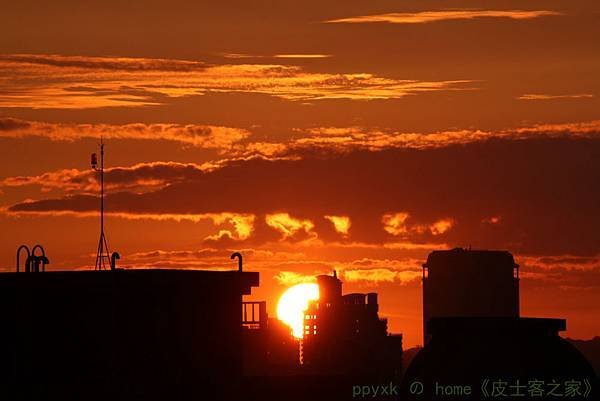 IMG_7439.jpg