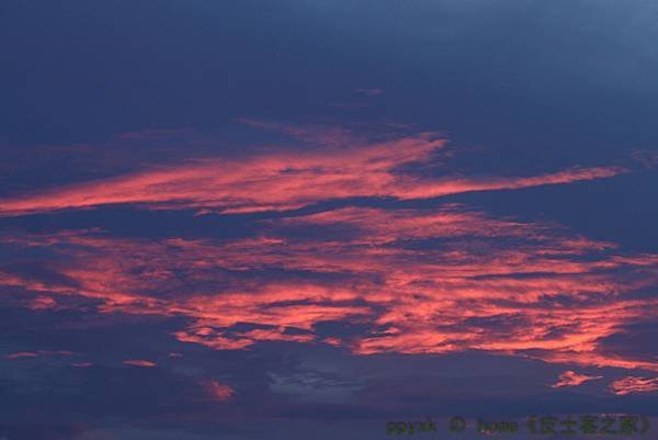 IMG_7710.jpg