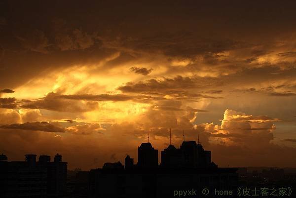 IMG_7842.jpg