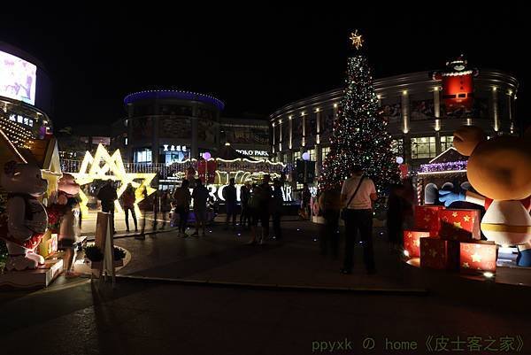 IMG_2497.jpg