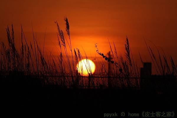 IMG_7869.jpg