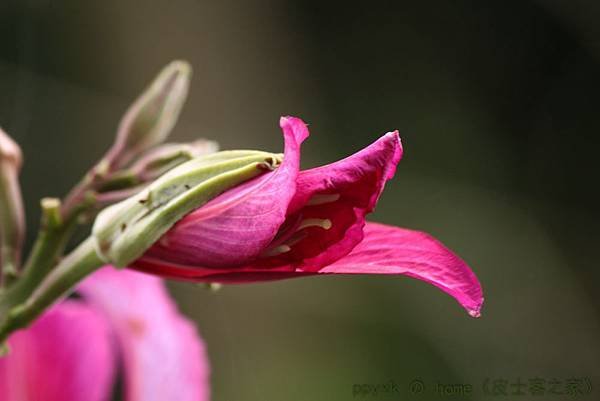 IMG_8864.jpg
