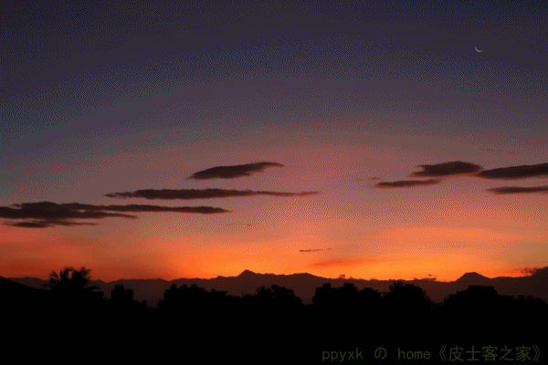晨光曲(11).gif